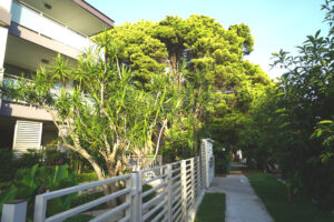 Dee_Why_Neighbourhood_Streets_00678_10540x690